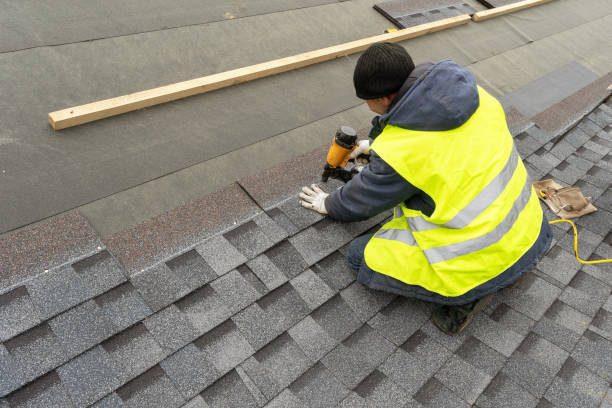 Best Roof Repair Services  in Delmont, PA
